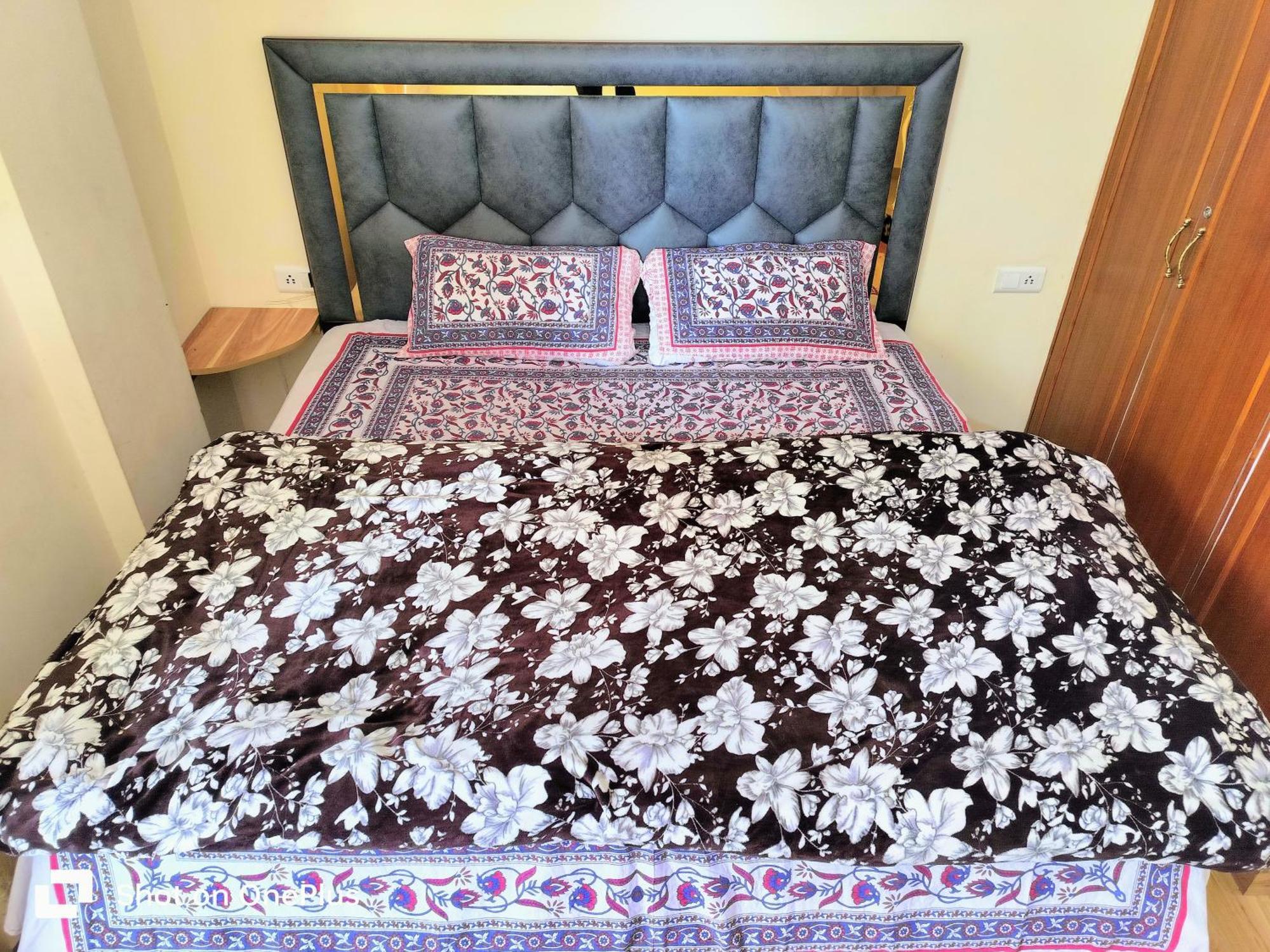 Shimla Vibes B & B Free Pick And Drop From Isbt Shimla Bagian luar foto