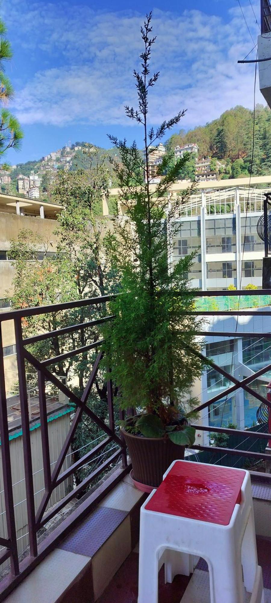 Shimla Vibes B & B Free Pick And Drop From Isbt Shimla Bagian luar foto